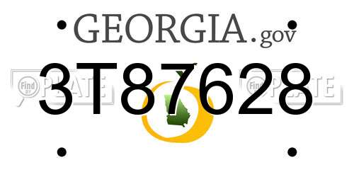 3T87628 Georgia License Plate