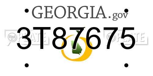 3T87675 Georgia License Plate
