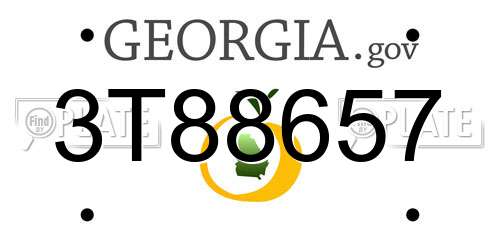 3T88657 Georgia License Plate