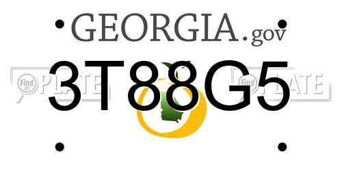 3T88G5 Georgia License Plate