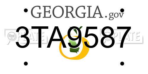 3TA9587 Georgia License Plate