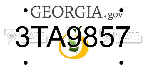 3TA9857 Georgia License Plate