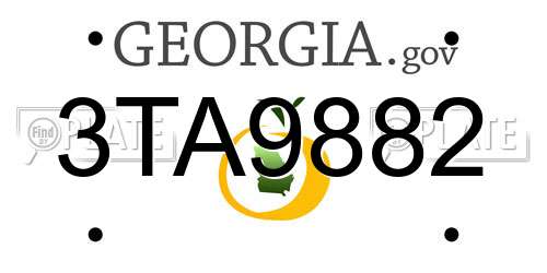 3TA9882 Georgia License Plate