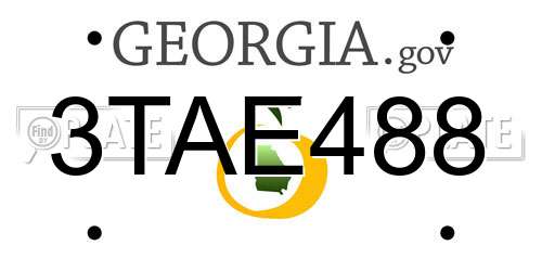 3TAE488 Georgia License Plate