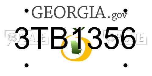3TB1356 Georgia License Plate