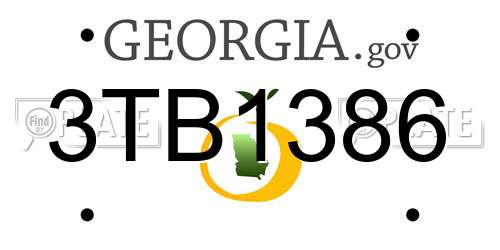 3TB1386 Georgia License Plate