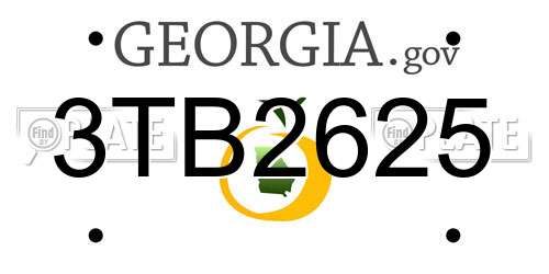 3TB2625 Georgia License Plate