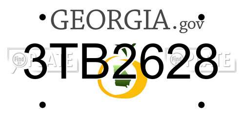 3TB2628 Georgia License Plate