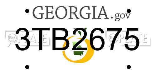3TB2675 Georgia License Plate