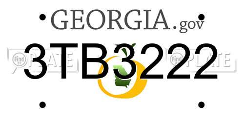 3TB3222 Georgia License Plate