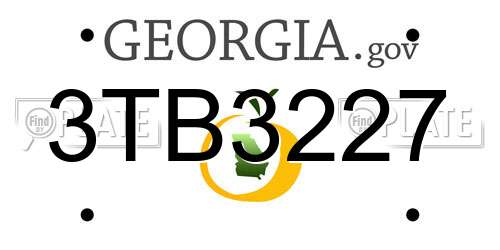 3TB3227 Georgia License Plate