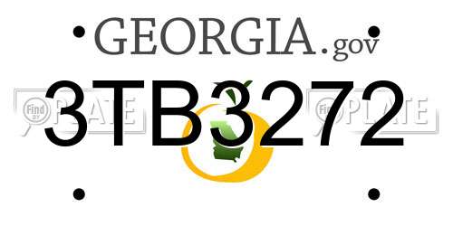 3TB3272 Georgia License Plate