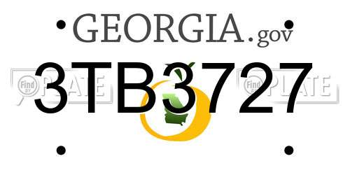 3TB3727 Georgia License Plate