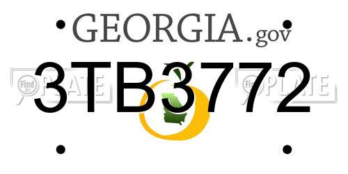 3TB3772 Georgia License Plate
