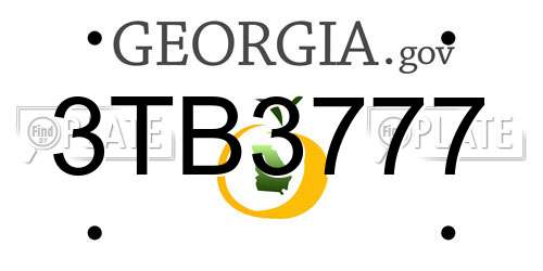 3TB3777 Georgia License Plate