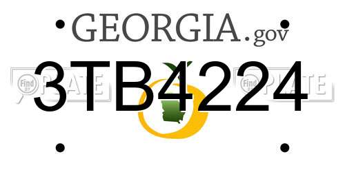 3TB4224 Georgia License Plate