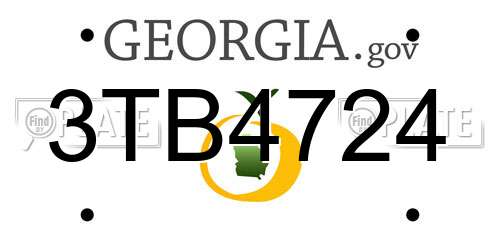 3TB4724 Georgia License Plate