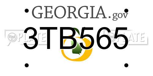 3TB565 Georgia License Plate