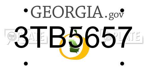 3TB5657 Georgia License Plate