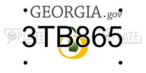 3TB865 Georgia License Plate