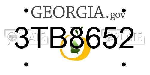 3TB8652 Georgia License Plate