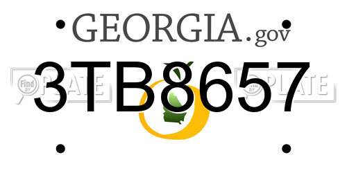 3TB8657 Georgia License Plate