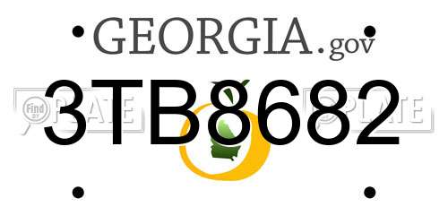 3TB8682 Georgia License Plate