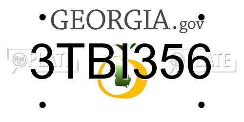 3TBI356 Georgia License Plate