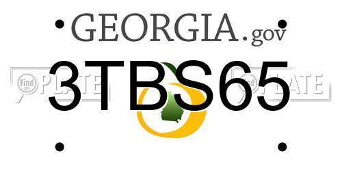 3TBS65 Georgia License Plate