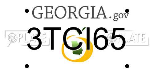 3TCI65 Georgia License Plate