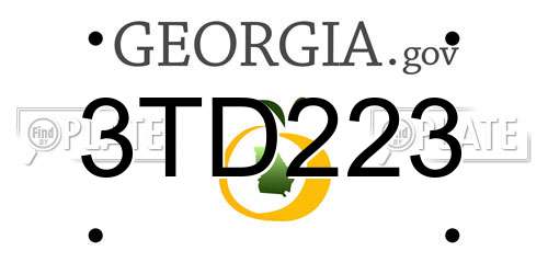 3TD223 Georgia License Plate
