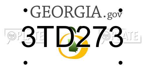 3TD273 Georgia License Plate