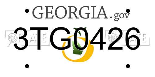 3TG0426 Georgia License Plate