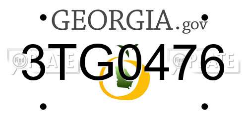 3TG0476 Georgia License Plate