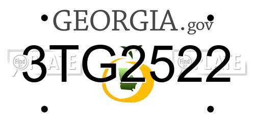 3TG2522 Georgia License Plate