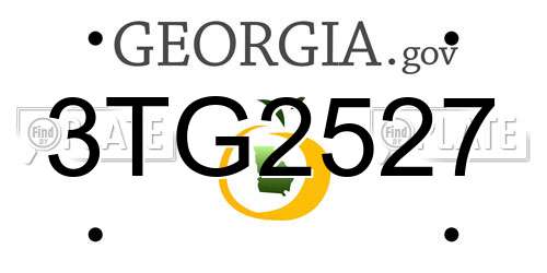 3TG2527 Georgia License Plate