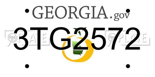 3TG2572 Georgia License Plate