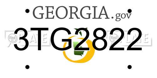 3TG2822 Georgia License Plate