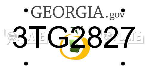 3TG2827 Georgia License Plate