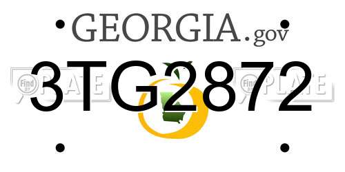 3TG2872 Georgia License Plate