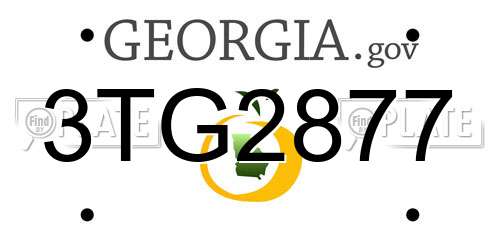 3TG2877 Georgia License Plate