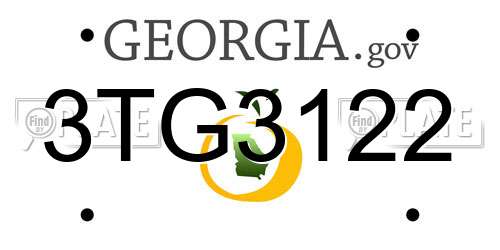 3TG3122 Georgia License Plate