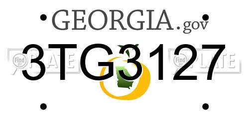 3TG3127 Georgia License Plate