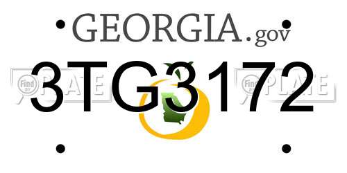 3TG3172 Georgia License Plate