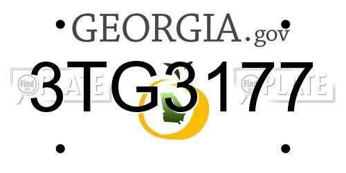 3TG3177 Georgia License Plate