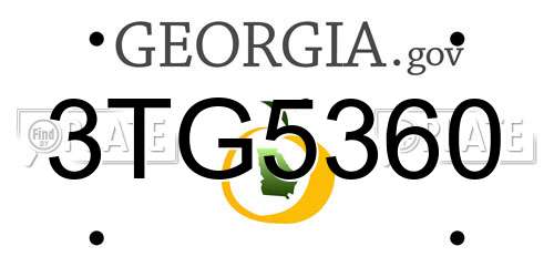 3TG5360 Georgia License Plate