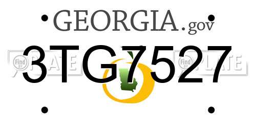 3TG7527 Georgia License Plate