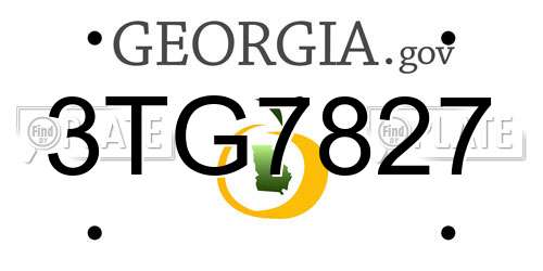 3TG7827 Georgia License Plate