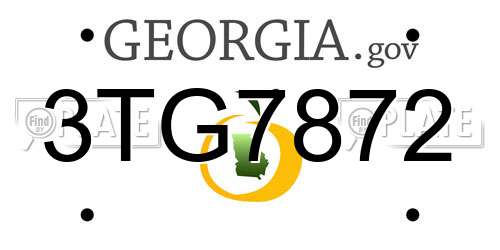 3TG7872 Georgia License Plate