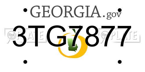 3TG7877 Georgia License Plate